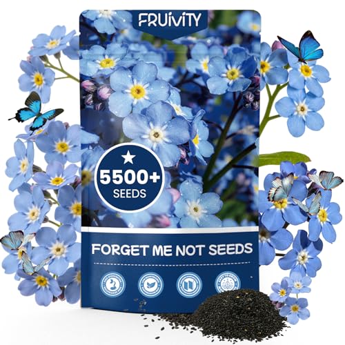 Forget Me Not Seeds 5500 Flower Seeds Forget-Me-Not Seed Packet Collection Forget-Me-Not Seeds for Planting Easy to Grow, Ground Cover Use, Perfect for Borders and Containers (Forget Me Not)