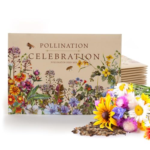 Bentley Pollination Celebration Wildflower Seed Packets, Non-GMO, Uncoated Flower Mix for Planting, Beautiful Garden Gift - style: Pollination Celebration