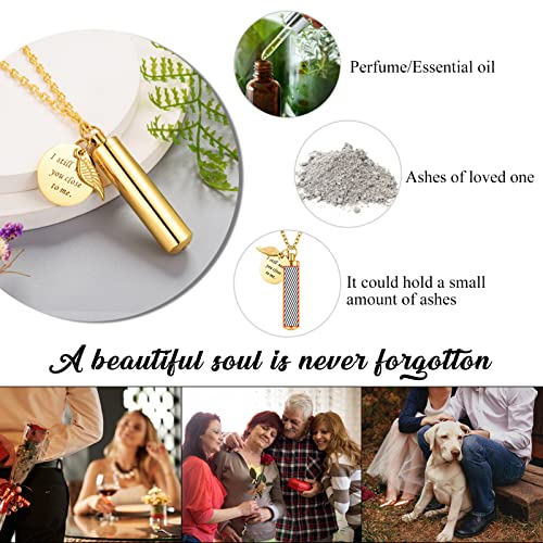 abooxiu Cylinder Urn Necklace for Ashes Cremation Jewelry/Keychain for human Pet Stainless Steel Memorial Keepsake Pendant with Angel Wing Charm Ashes - color: Gold-L