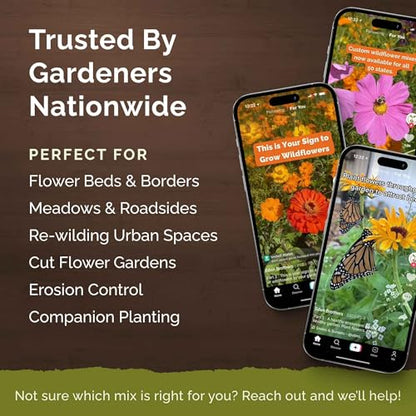 Eden Brothers Cut-Flower Wildflower Seed Mix - size: 1/4 Pound, style: Cut-Flower