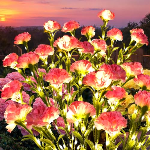 GIGALUMI 4 Pack Solar 28 Carnations Flowers Outdoor, 2 Modes, Pink - color: Pink, size: 4 PACK
