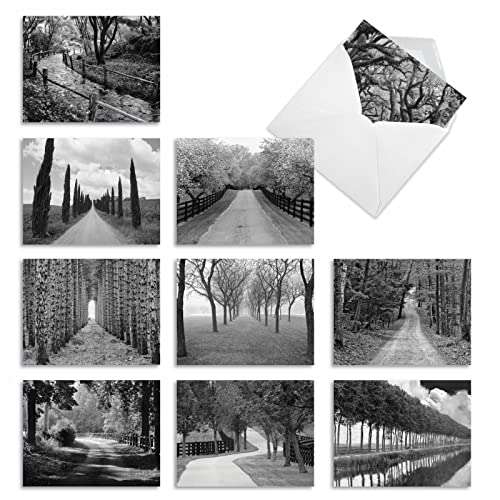 The Best Card Company - Box of 10 All Occasion Cards Blank (4 x 5.12 Inch) - Scenic Landscape Cards Assorted - Tree Lines M3313-NB - style: Tree Lines
