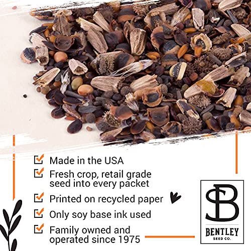 Bentley Seeds Mr & Mrs Pre Filled Flanders Poppy Seed Packets - 25 Individual Flanders Poppy Seed Packs -Wedding or Anniversary Party Favors Non-GMO Eco-Friendly Gift - Indoor Outdoor Garden Seeds - style: Mr and Mrs