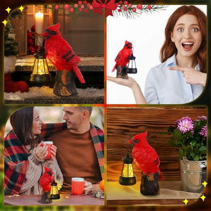 Suzile Cardinal Garden Statue with Solar Lantern 6.3 Solar Light for Outside Cardinal Garden Decor Sculptures & Statues Lights for Lawn Decor Unique Ornament Gift for Women Mom