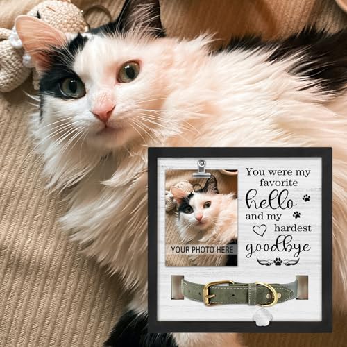 PUREFLY Dog Memorial Gifts for Loss of Dog, Loss of Dogs Sympathy Gift Pet Loss Sympathy Frame with Collar Holder, Pet Cat Remembrance Bereavement Gift - color: My Hardest Goodbye
