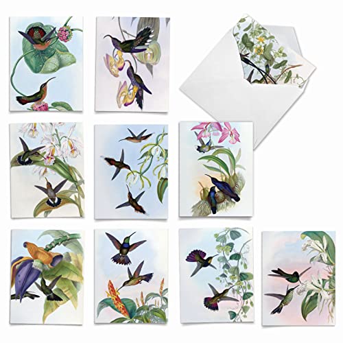 The Best Card Company, 10 Assorted Blank Bird Notes (4 x 5.12 Inch) - Boxed Vintage Illustrations All Occasion Hummingbirds Notecards Bulk Set w/Envelopes (1 of 10 Designs) - Humming Along M10034BK - style: Humming Along