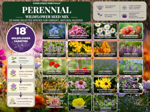 All US Zones All Perennial Wildflower Seed Mix 1/4 Pound Covers 500 sqft Non-GMO Includes Drought Tolerant Species
