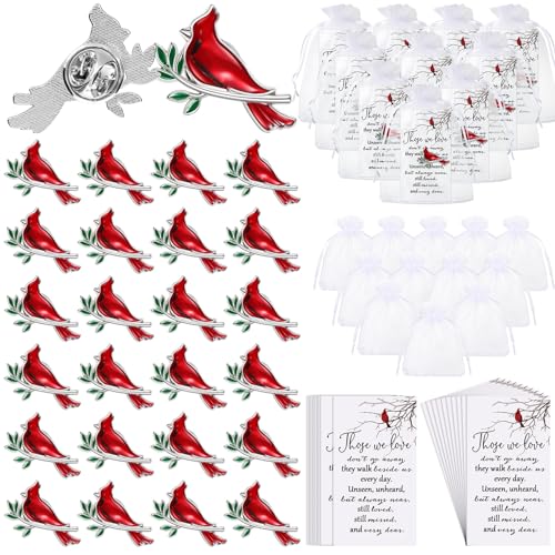 Jexine 240 Pcs Cardinal Pins Bulk Gift Funeral Favor Memorial Cards,Classic | Include 80 Cardinal Pins, 80 Cards, 80 Gift Bags, Celebration of Life Favors Memorial Keepsakes for Funeral Service Guests - style: Classic