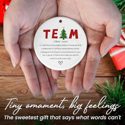 TEEZWONDER Team Gifts for Employees Coworkers - Christmas Ornaments 2026 - color: Team