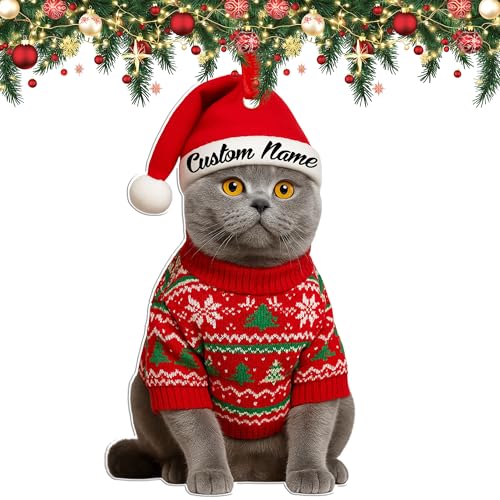 Custom Cat Christmas Ornament 2025 – Personalized Ornament for Christmas Tree with Name or Photo – Cute Feline Decoration Gift for Cat Lovers, Pet Memorial, Black Gray White Design - color: F-hen-onm-catxmas-fbm