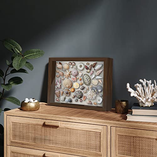Americanflat 11x14 Shadow Box Frame with Shatter-Resistant Glass - Silhouette Collection - Large Shadow Box Display Case for Tabletop and Wall Display - Walnut with Soft Felt Back - color: Walnut, size: 11x14