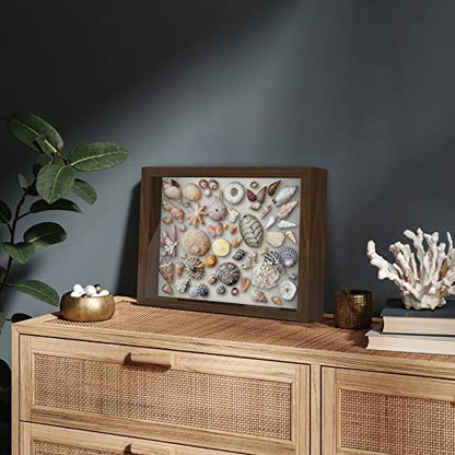Americanflat 11x14 Shadow Box Frame with Shatter-Resistant Glass - Silhouette Collection - Large Shadow Box Display Case for Tabletop and Wall Display - Walnut with Soft Felt Back - color: Walnut, size: 11x14