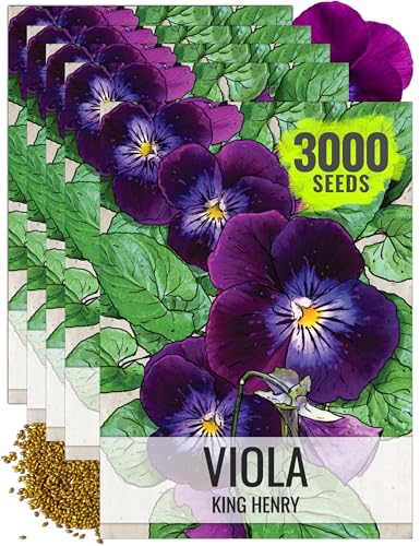 Seed Needs King Henry Viola Seeds to Plant Gothic Violet Flowers 5 Packs - size: 5 Packs, style: King Henry Viola