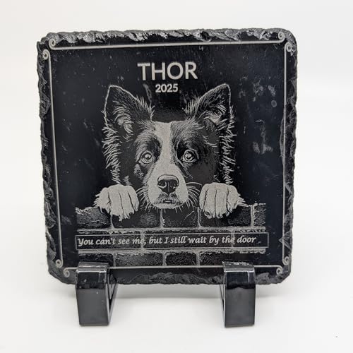 Small Display Stands for Tabletop – Plastic Easel Holders for Photos, Memorial Plaques, Postcards, Phones, Not for Large Posters or Frames