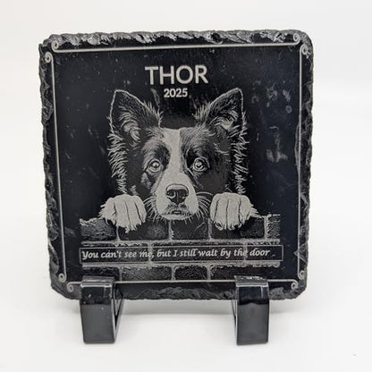 Small Display Stands for Tabletop – Plastic Easel Holders for Photos, Memorial Plaques, Postcards, Phones, Not for Large Posters or Frames