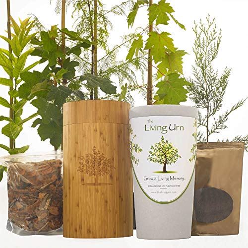 The Living Urn Bio Urn Including a Premium Young Tree of Choice. Grow a Living Tree Memorial from Cremation Ashes 7.5 x 7.5 x 13.9 inches