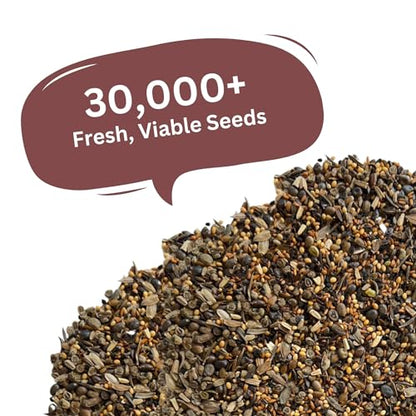 Butterfly and Hummingbird Wildflower Mix – 30,000+ Seeds – 1 oz Bulk Extra Large Resealable Packet – Non-GMO Open Pollinated Wildflower Seeds