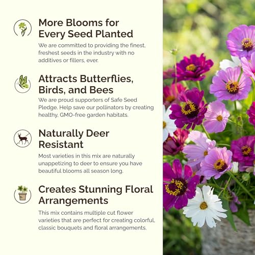Eden Brothers Purple Rain Flower Mixed Seeds for Planting, 1/4 lb, 120,000+ Seeds with Zinnia Purple Prince & Violet Queen, Cosmos, Attracts Pollinators, Plant in Spring, Zones 3, 4, 5, 6, 7, 8, 9, 10 - size: 1/4 Pound, style: Purple Rain