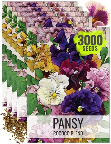 Seed Needs Rococo Pansy Seeds to Plant a Mixture of Frilly Flowers 5 Packs - size: 5 Packs, style: Rococo Pansy