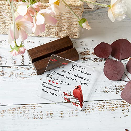 Sympathy Gifts, Memorial Gifts for Loss of Loved One Condolence Grief Bereavement Present in Memory of Mother Father Husband Wife - Clear Plaque Sign With Wooden Stand (style 4） - color: Colour07
