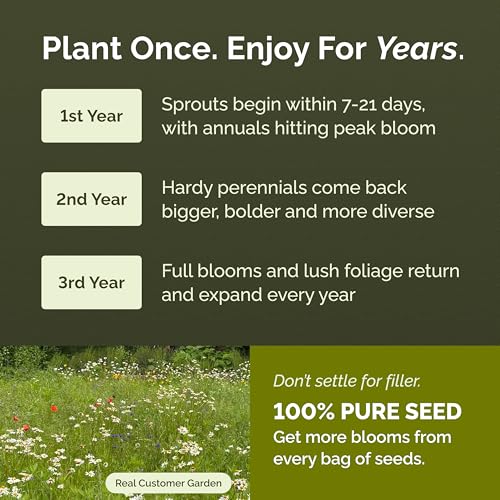 Eden Brothers Deer Resistant Wildflower Mixed Seeds for Planting, 1 lb - size: 1 Pound, style: Deer Resistant