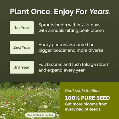 Eden Brothers Deer Resistant Wildflower Mixed Seeds for Planting, 1 lb - size: 1 Pound, style: Deer Resistant