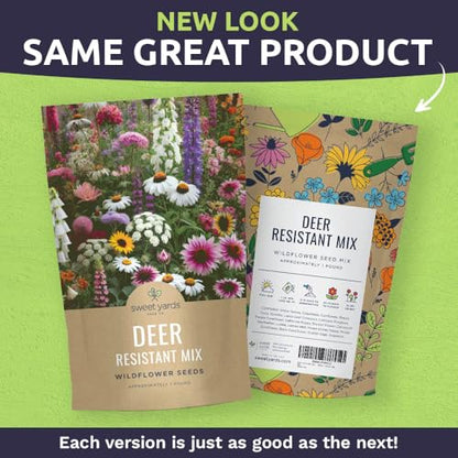 Deer Resistant Wildflower Seed Mixture - Bulk 1 Pound Bag - Over 240,000 Deer Tolerant Seeds - Open Pollinated and Non GMO - size: Bulk 1 Pound