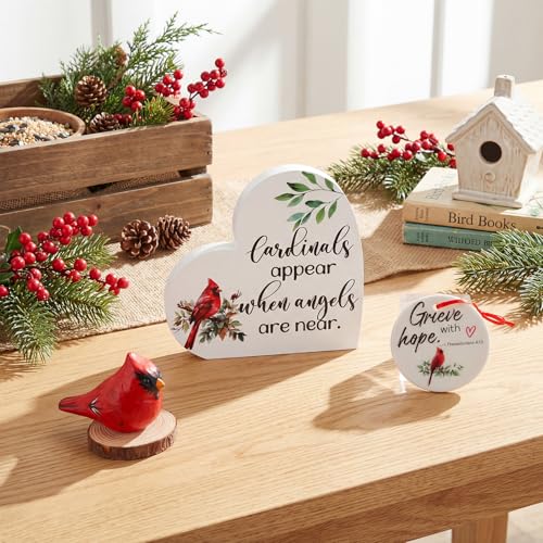 Cardinal Memorial Gift Box Bereavement Remembrance Gifts for Loss, Red Cardinal Figurine, Candle, Wooden Cross and Comfort Cards Memorial Gifts for Loss of Loved One, Bereavement Present
