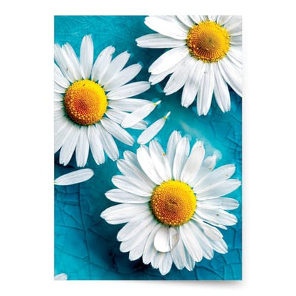 Designer Greetings For Your Words, Blank Cards 6 Pack - color: Daisies
