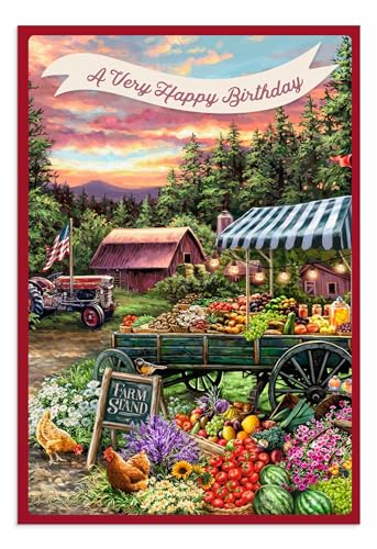 DaySpring - Dona Gelsinger - Down Home Birthday - 4 Design Assortment with Scripture - 12 Birthday Boxed Cards & Envelopes (U1610)