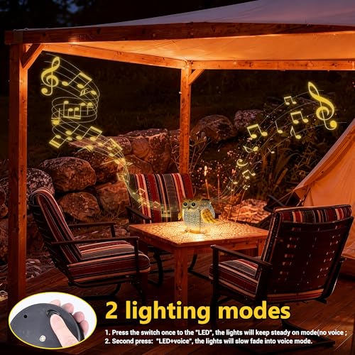 Solar Lantern Outdoor Lights, Cute Metal Solar Owl Lamp with Sound - size: Owl