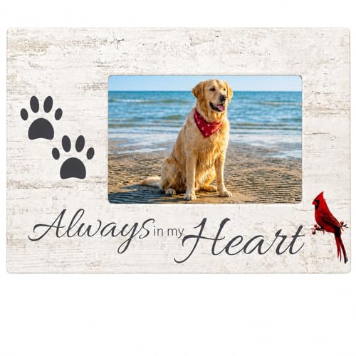 Dog Memorial Picture Frame, Always in My Heart Pet Loss Gift with Cardinal & Paw Print Design, Wood Look 4x6 Photo Frame for Dog or Cat Sympathy, Pet Remembrance Gift, Measures 10 x 7 Inches