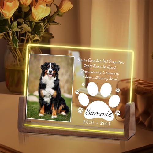 Personalized Pet Memorial Gifts for Dogs, Dog Memorial Gifts for Loss of Dog, In Memory of Dog, Pet Sympathy Gifts for Dogs, Pet Memorial Gifts Cat, Dog Memorial Acrylic Night Light, Pet Loss Gifts - color: S12