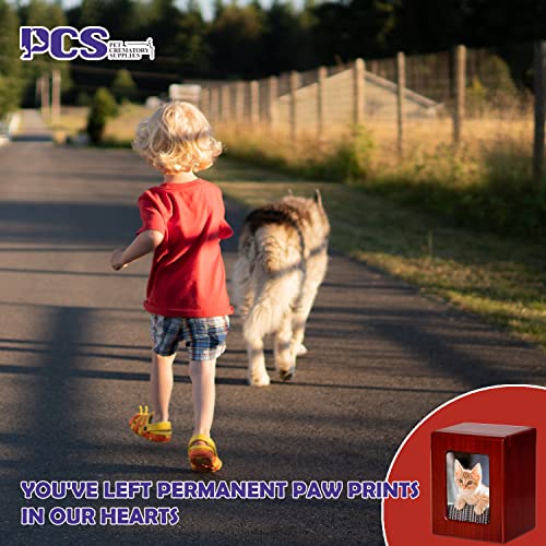 PCS Cat Urns - Photo Urn, Cremation Box, Ashes Urn - Red-Medium - color: Red, size: M(26-45lbs)