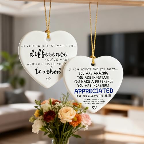 in Case Nobody Told You Today: You are Amazing, Important & Make a Difference - Affirmations Sign | Office Gift, Appreciation Gifts, Thank You Gifts, Going Away, Retirement Gift | Christmas Ornament - color: Deserve the Best