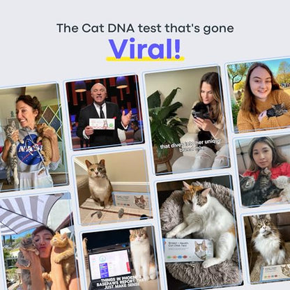 Basepaws Cat DNA Test Kit, Breed, Health & Dental Insights, 114 DNA Traits - size: 1 Count (Pack of 1)
