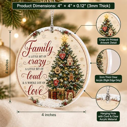 Family Christmas Ornament 2026, Funny Family Tree Ornament, A Little Bit of Crazy, A Little Bit of Loud, A Whole Lot of Love Holiday Keepsake - color: Family1