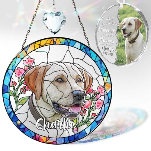 Personalized Pet Stained Glass Window Hanging, Dog Memorial Suncatcher Picture, Sympathy Gift for Loss of Pet, Cat Bereavement Keepsake Portrait Photo, Remembrance Gift for Dog Lovers - color: 00. Custom Glass
