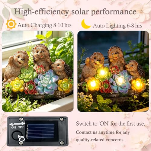 Hedgehog Solar Garden Statues with Succulent Animal Figurines - color: Brown-hedgehog03
