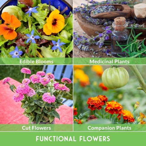 Flower Garden Seeds 36 Variety Kit - Heirloom Starter Pack | 36 Packs of Annual & Perennial Flowers for Planting – Wildflowers for Pollinators, Bees, Butterflies - Survival Garden Seeds