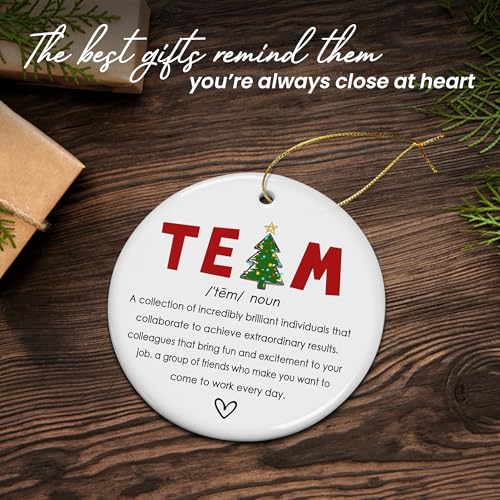 TEEZWONDER Team Gifts for Employees Coworkers - Christmas Ornaments 2026 - color: Team