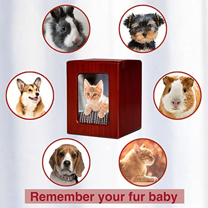 PCS Cat Urns - Photo Urn, Cremation Box, Ashes Urn - Red-Medium - color: Red, size: M(26-45lbs)