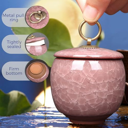 Small Urns for Human Ashes Keepsake, Ceramic Ice Crack Memorial Keepsake Cremation Urns Token Urns Mini Sharing Funeral Urns with Black Premium Box,Purple - color: Purple