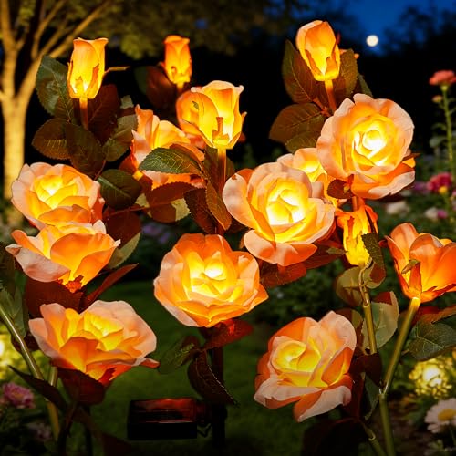 Brightown Solar Garden Lights, 4 Pack LED Rose Flower Lights Waterproof - color: Champagne Rose