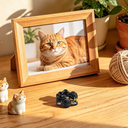 EYxsaxenk Loss of Pet Sympathy Gift Black Obsidian Cute Mini Paw Pocket Hug | Keepsake with memorial card envelope, Loss of dog cat sympathy favor, Remembrance gift for pet lover, Adult stress relief toy - color: Black + I Know Card