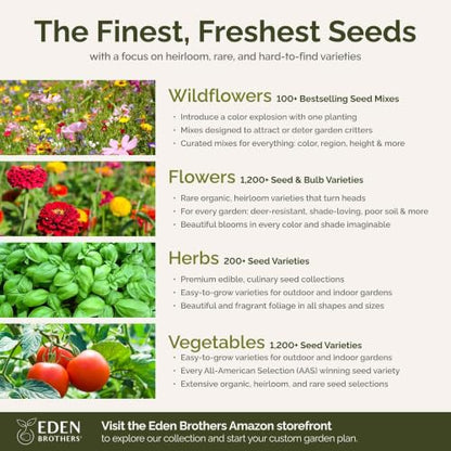 Eden Brothers All Annual Wildflower Mixed Seeds for Planting, 1 oz, Seeds with Sunflower, Indian Blanket, Scarlet Flax | Attracts Pollinators, Plant in Spring, Zones 3, 4, 5, 6, 7, 8, 9, 10 - size: 1 Ounce, style: All Annual