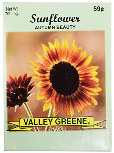 Black Duck Brand Set of 25 Autumn Beauty Sunflower Seed Packets! Flower Seeds in Bulk - Great for Creating The Garden of Your Dreams! (25, Autumn Beauty Sunflower) - color: Autumn Beauty Sunflower