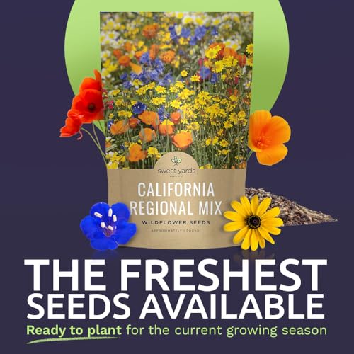 California Natives Mix - Bulk 1 Pound Bag - Over 120,000 Native Seeds - Open Pollinated and Non GMO - size: Bulk 1 Pound, style: California Regional Mix
