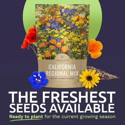 California Natives Mix - Bulk 1 Pound Bag - Over 120,000 Native Seeds - Open Pollinated and Non GMO - size: Bulk 1 Pound, style: California Regional Mix