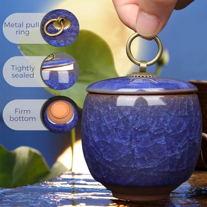 Small Urns for Human Ashes Keepsake, Ceramic Ice Crack Memorial Keepsake Cremation Urns Token Urns Mini Sharing Funeral Urns with Black Premium Box,Blue - color: Blue